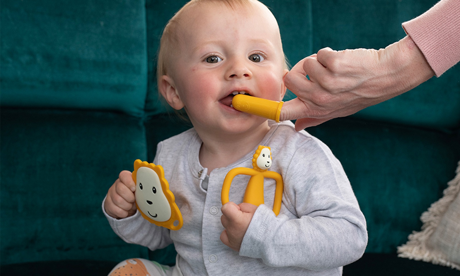 Baby holding a Ludo Lion flat teether and character teether while a parent uses a silicone finger toothbrush.